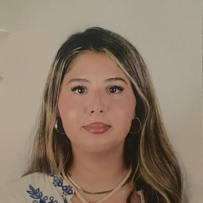 Babysitter in Colombes: Chiraz