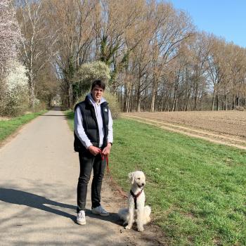 Babysitter in Hemmingen: Samuel