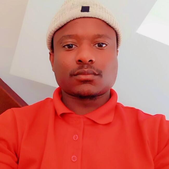 Babysitting job in Randburg: Felex