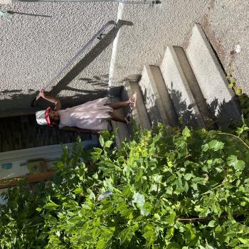 Job de garde d'enfants à Genève: job de garde d'enfants Af kafui