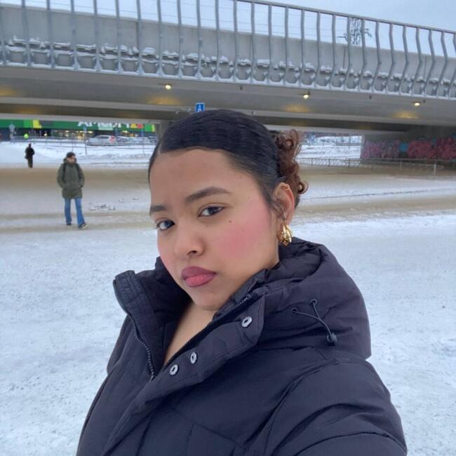 Lastenhoitaja Kuopio: Prasara