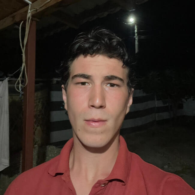 Babysitter in Brasov: Robert