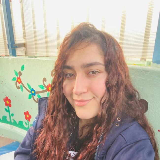 Babysitter in Santiago: Polett