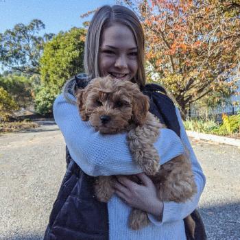 Babysitter East Melbourne: Hannah