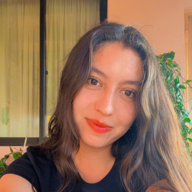 Babysitter in Santiago: Francesca Medina
