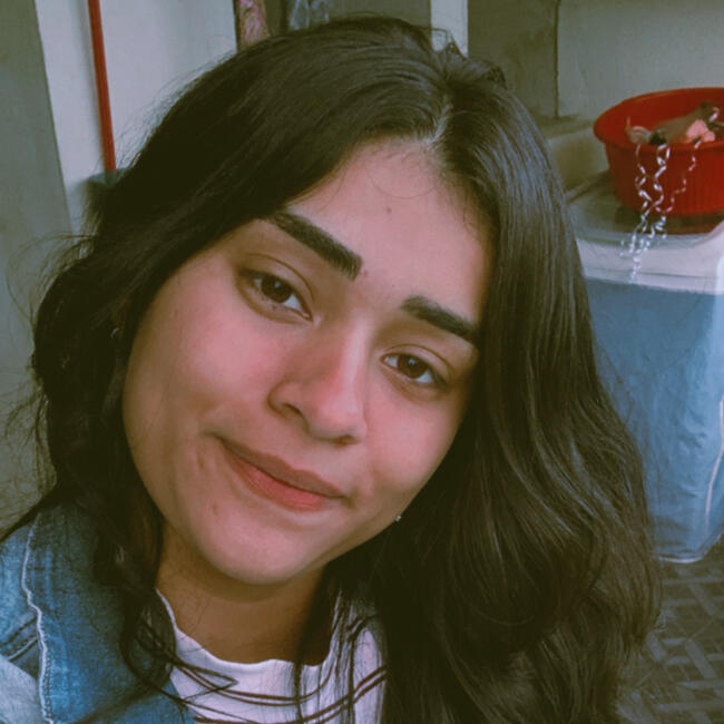 Babysitter in Barueri: Evellyn