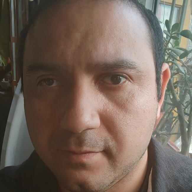 Babysitting job in Renca: Luis Maldonado