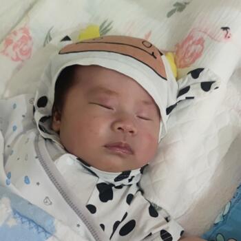 Babysitting job in Kuala Lumpur: babysitting job Shirley