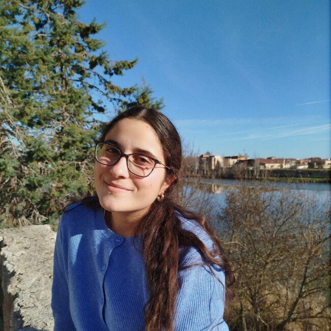 Babysitter em Amarante: Diana