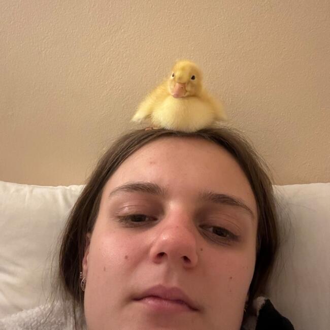 Babysitter in Stellenbosch: Holly