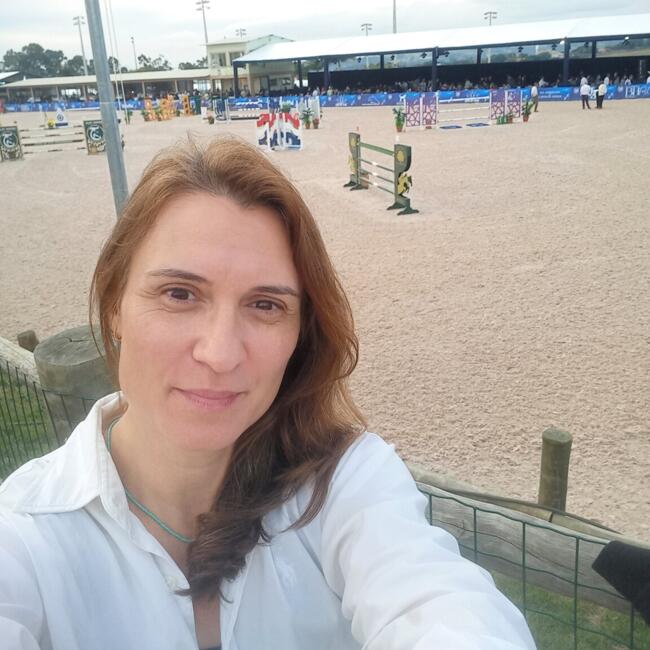 Babysitting job in Campinas: Aline