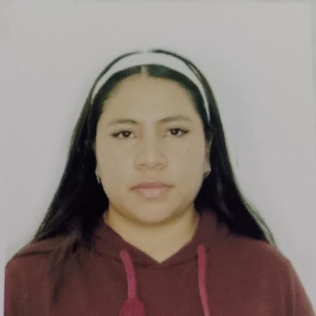 Babysitter in Riobamba: Alisson