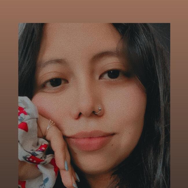 Babysitter in Calama: Jarixsa