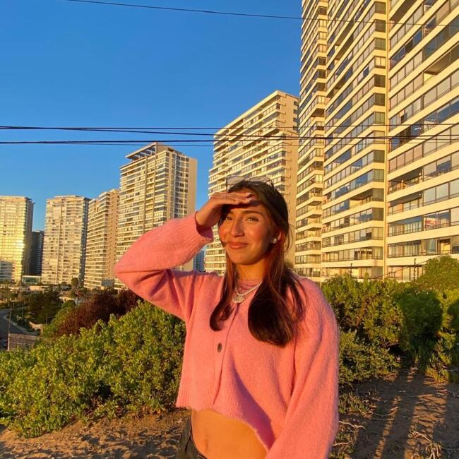 Babysitter in Valparaíso: Charlott