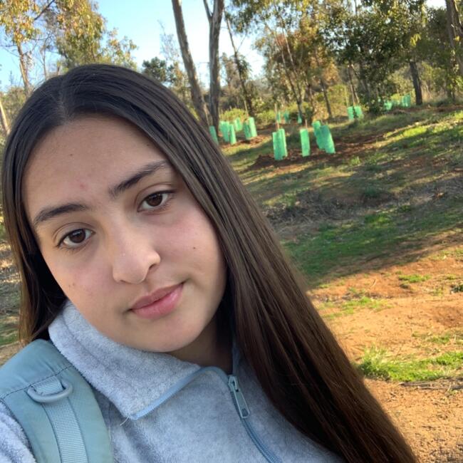 Babysitter in Viña del Mar: Javiera