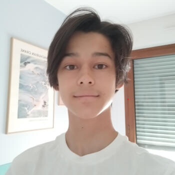 Baby-sitter in Suresnes: Gabin
