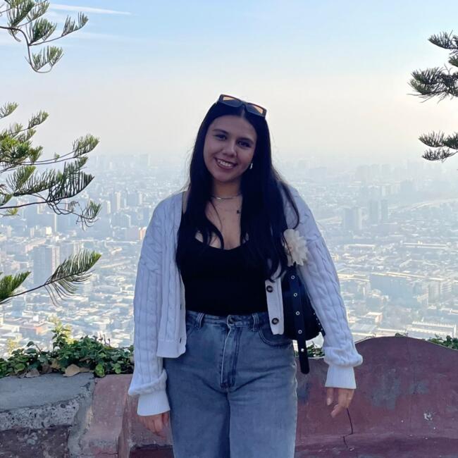 Niñera en Santiago de Chile: Camila