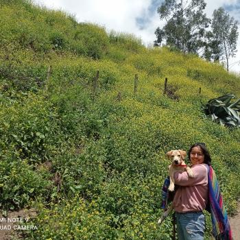 Niñera en Comas (Lima region): Adriana