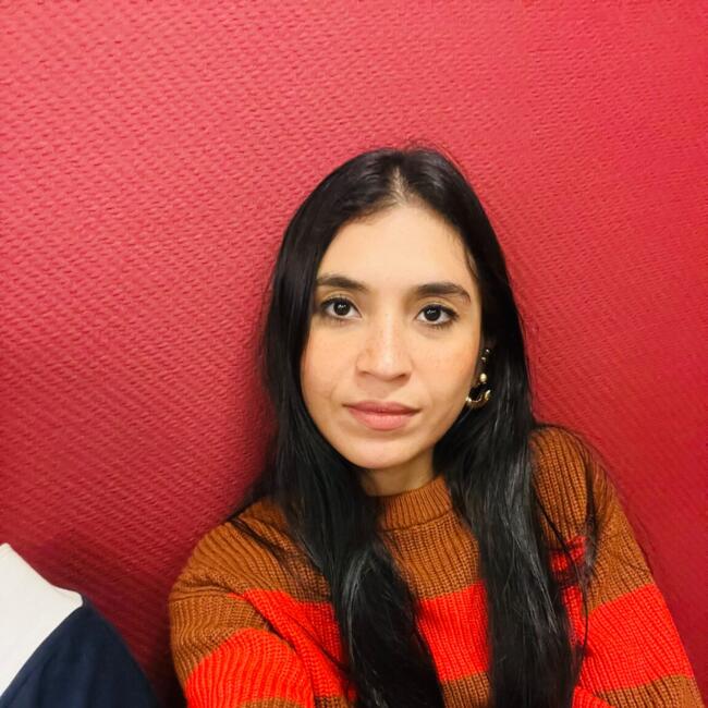 Babysitting job in Panama City: Greicy