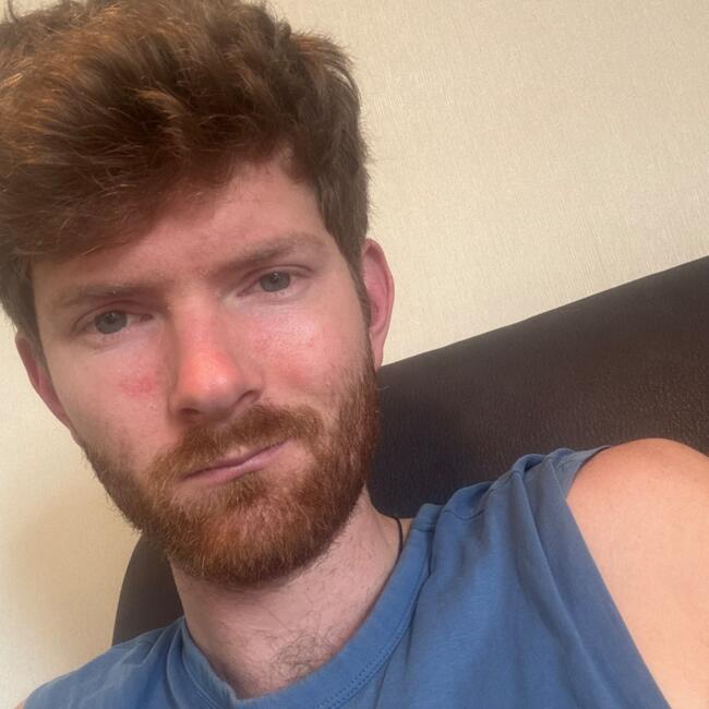 Babysitting job in Pukekohe: James