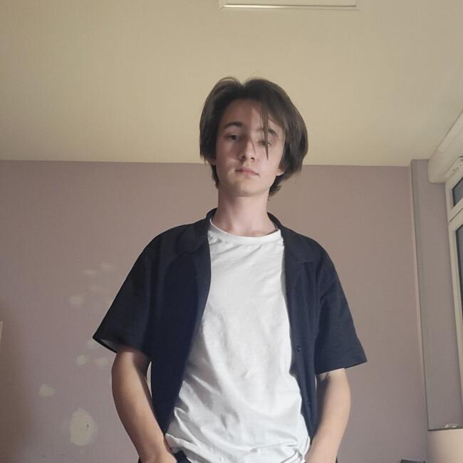 Babysitter in Le Houlme: Martin
