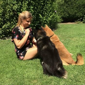 Babysit Vilvoorde: Julie