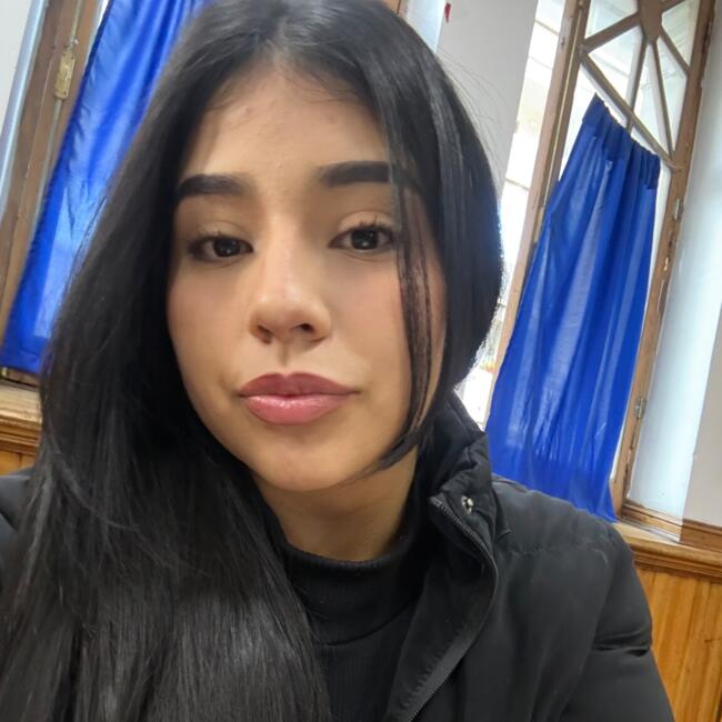 Babysitter in Santiago: Antonella