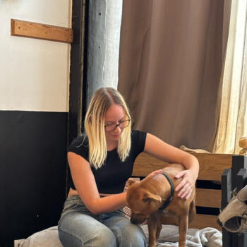 Baby-sitter Ennetières-en-Weppes: Maeva