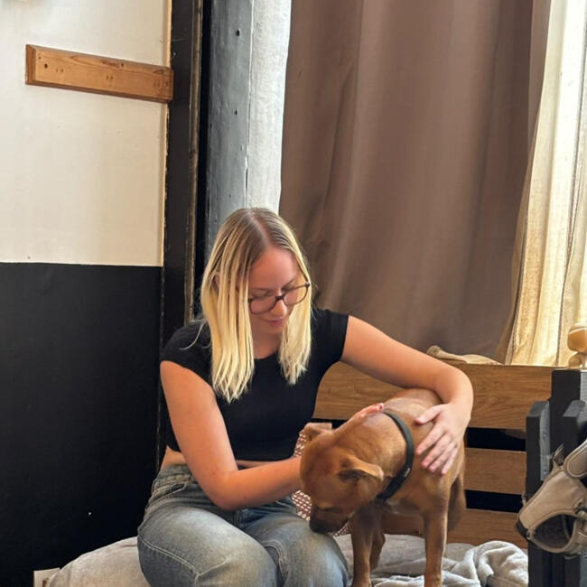 Babysitter in Ennetières-en-Weppes: Maeva