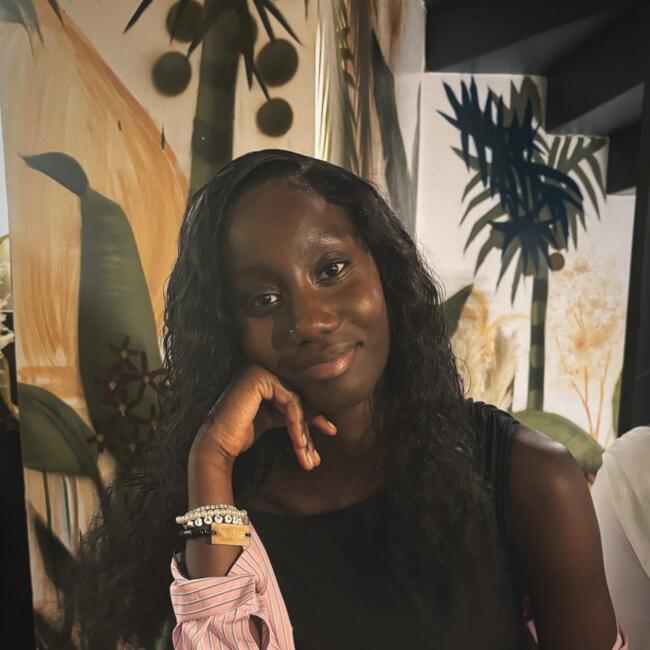 Babysitter in Aubervilliers: Diarafa