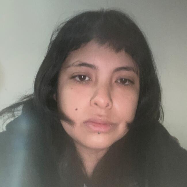 Babysitting job in Huancayo: Anieth