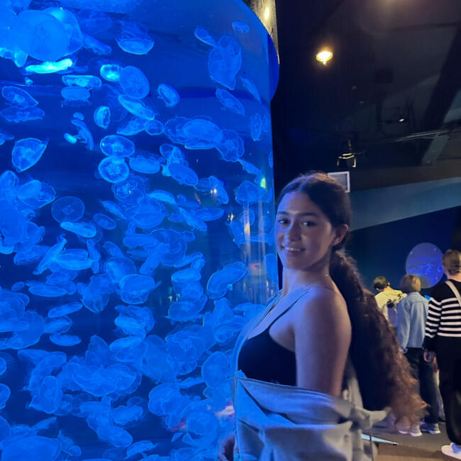 Baby-sitter in Westmount: Sarina