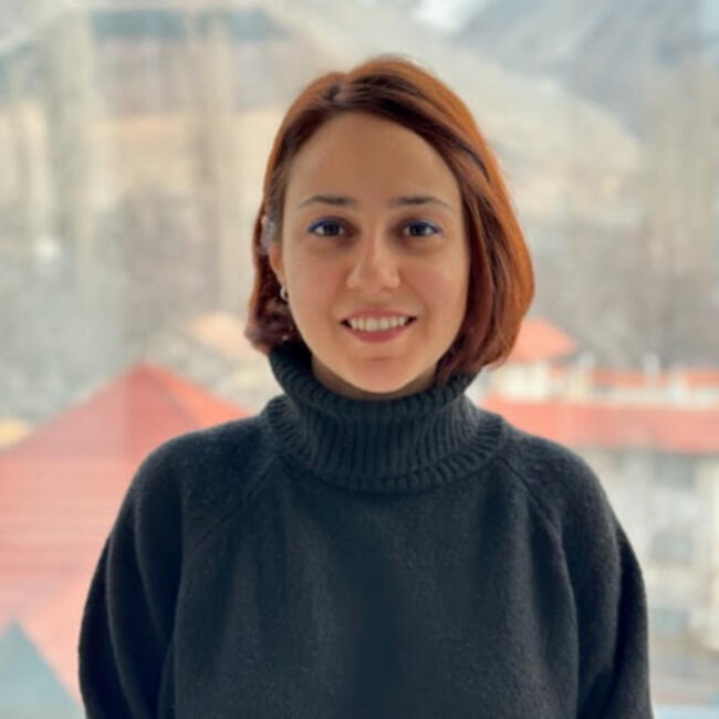 Baby-sitter in Toronto: Parsila