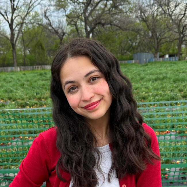 Babysitter in Spring (Texas): Desirey