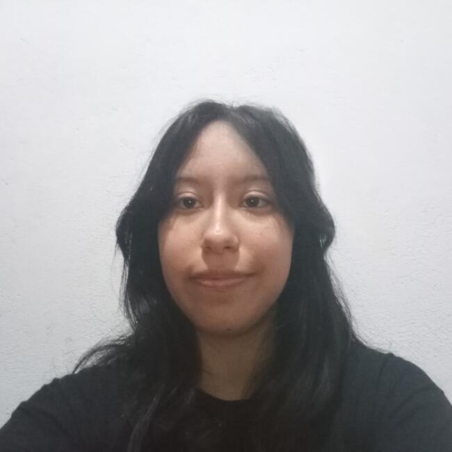 Niñera en San Juan de Lurigancho: Colombina