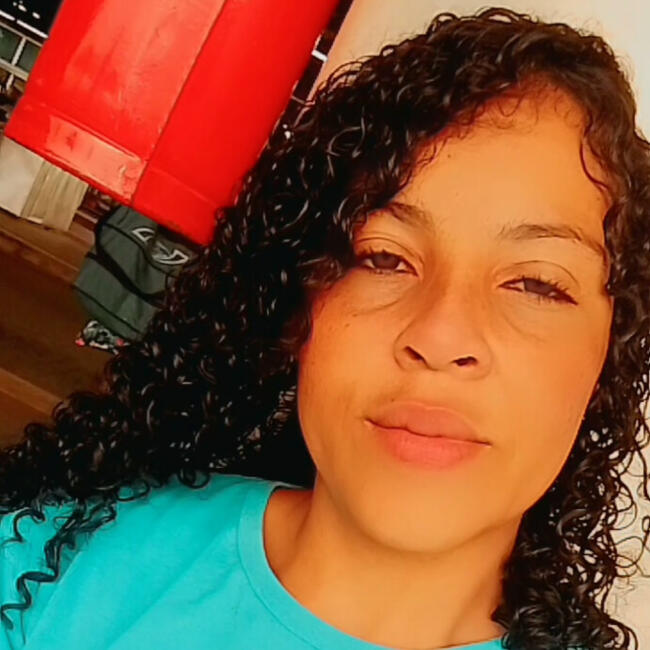 Babysitting job in Uberlândia: Brunna