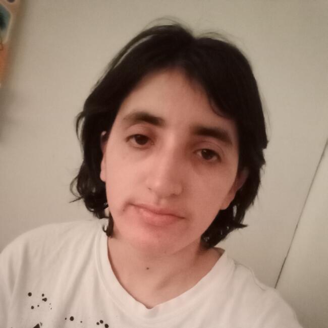 Babysitter in Quilpué: Alejandra