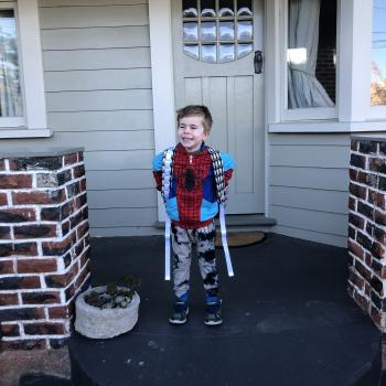 Babysitting job Dunedin: babysitting job Ben