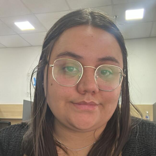 Babysitting job in Santo André: Dayana