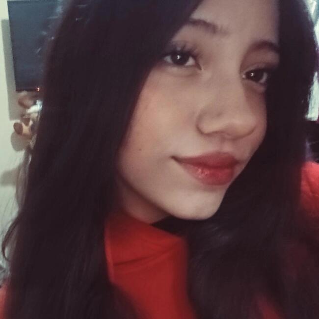 Babysitter in Aguascalientes: Natalia