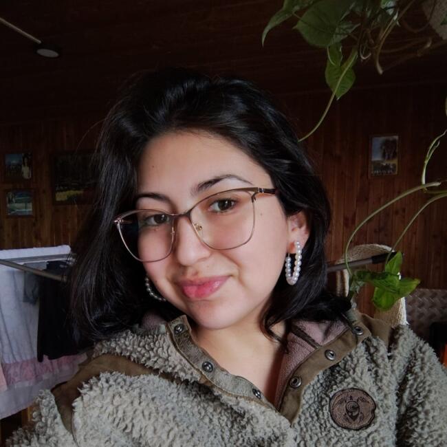 Niñera en Temuco: Maricel