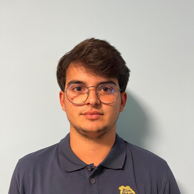 Babysitter em Santa Maria da Feira: Daniel