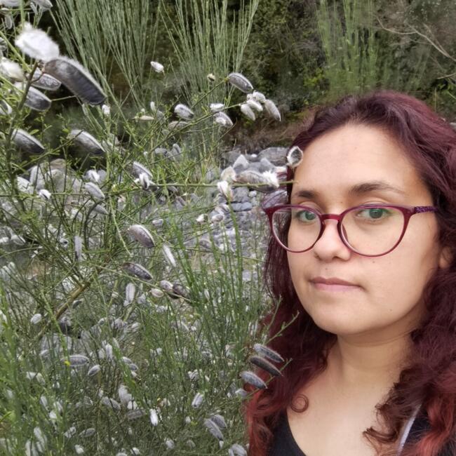 Babysitter in Pucón: Beatriz