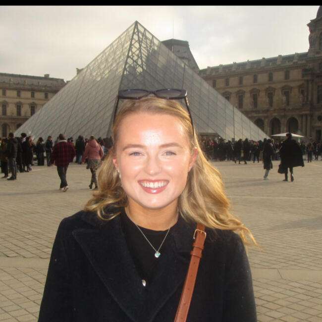 Babysitter in Greystones: Robyn