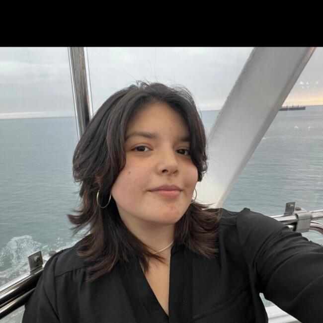 Niñera en Santiago de Chile: Antonia