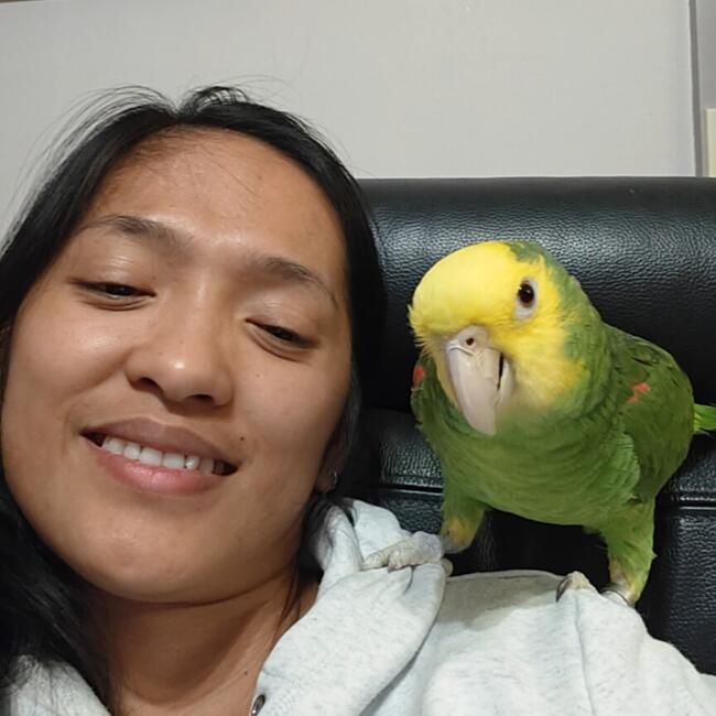 Babysitter in Kaprijke: Jessel