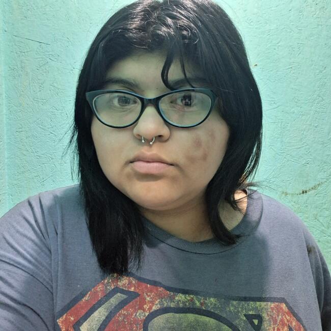 Babysitter in Valdivia: Ambar