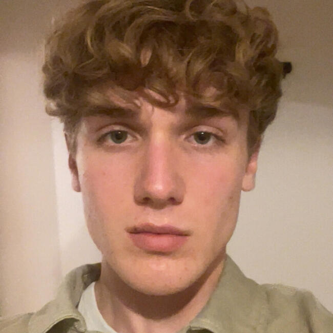 Babysitter in Divonne-les-Bains: Gabriel