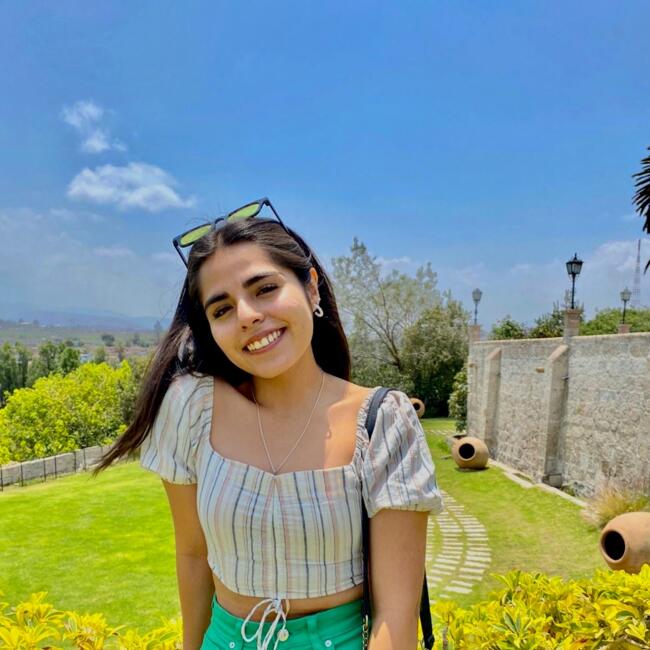 Niñera en Arequipa: Ana lucia