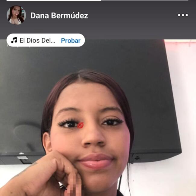 Babysitter in Santiago de Cali: Dana